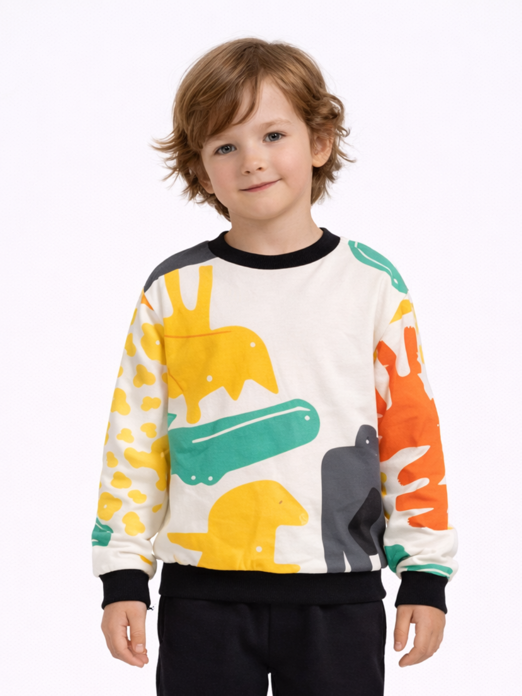 Dinos Baskılı Erkek Çocuk SweatShirt - Casabony Kids