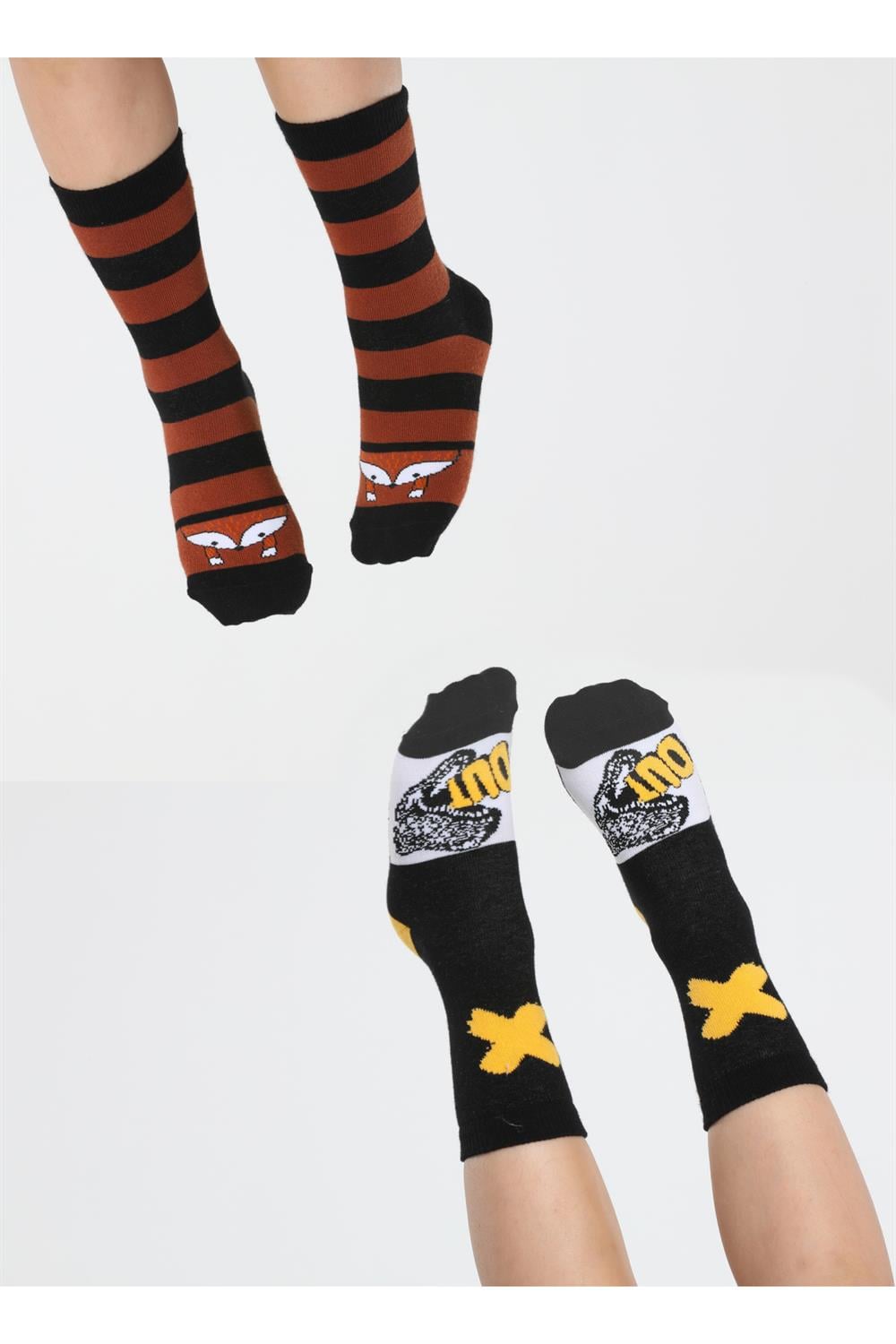 Fox&Dino 2'li Paket Erkek Çocuk Çorap - Casabony Kids