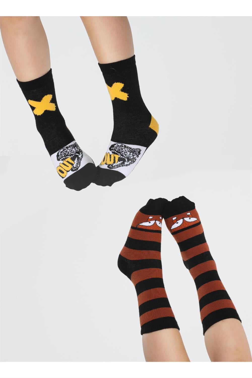 Fox&Dino 2'li Paket Erkek Çocuk Çorap - Casabony Kids